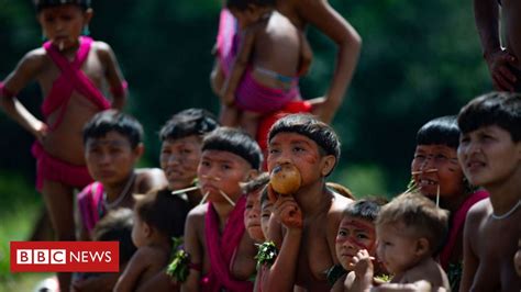 O Que Significa Yanomami As Respostas Para Essa E Outras Quest Es