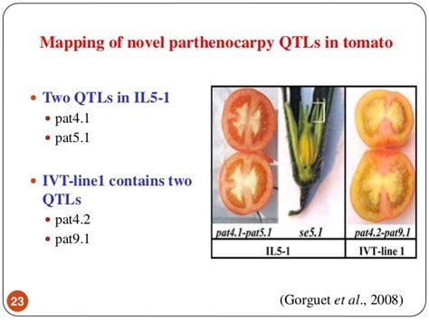 Parthenocarpy