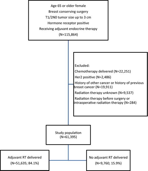 Omission Of Adjuvant Radiotherapy In The Elderly Breast Cancer Patient