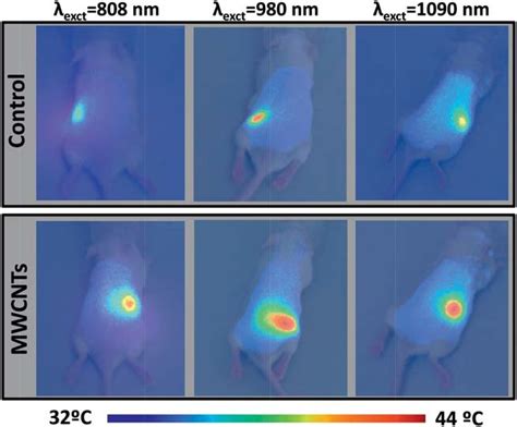 Thermal Images Of Mice Under W Cm Laser Irradiation At