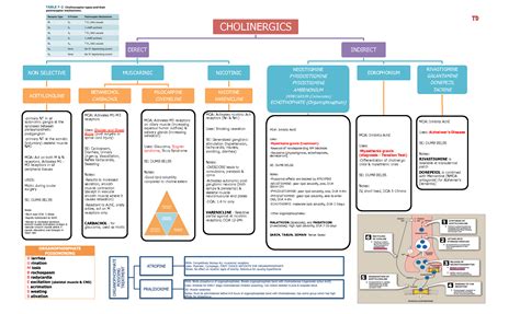 Solution Pharmacology Summary Of All Drugs Studypool