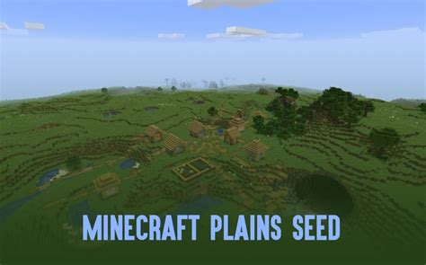 Minecraft plains seeds : what are their functions in the game?