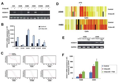 Effects Of 5 Aza Dc Andor Tsa On Demethylation And Re Expression Of Download Scientific