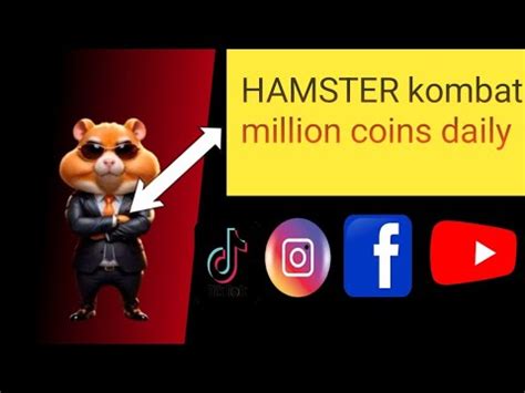 Hamster Kombat 40 Million Coins Daily Profit Per Hour Increase Trick