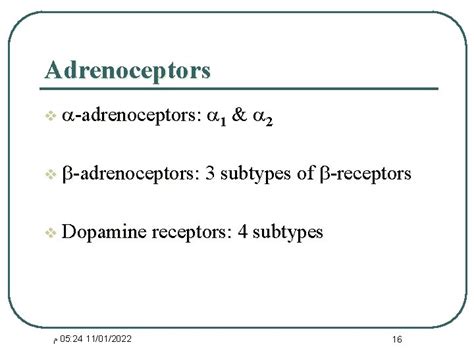 Pharmacology Of Sympathetic Nervous System Adrenergic Agonists Dr