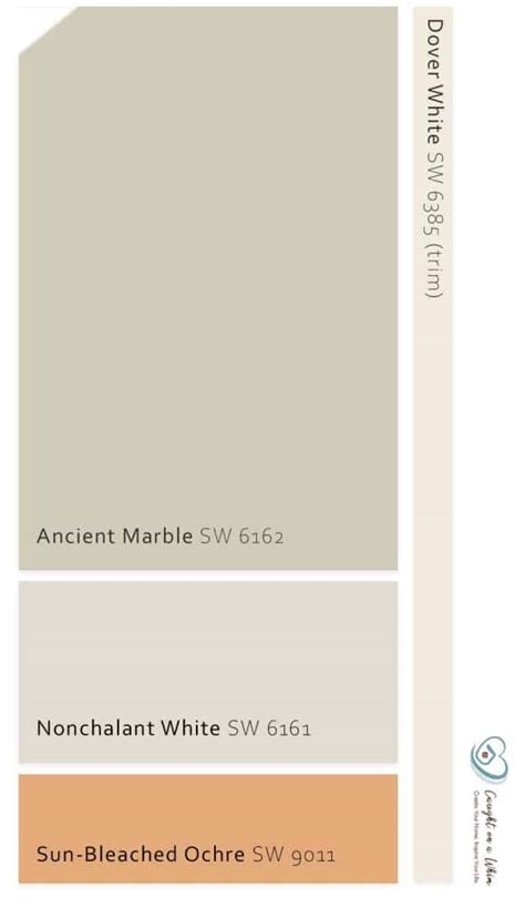 Sherwin Williams Ancient Marble Review The Only Gray Green Your Home