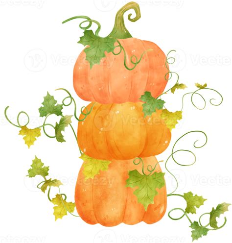 Cute Watercolor Halloween Autumn Pumpkins With Face And Vines Cartoon