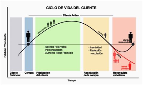 Ciclo De Vida Del Cliente Ciclo De Vida