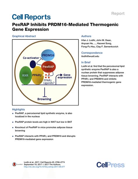 Pdf Pexrap Inhibits Prdm Mediated Thermogenic Gene Expression