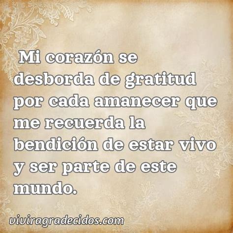 Mejores Frases De Agradecimiento Por Vivir Vivir Agradecidos