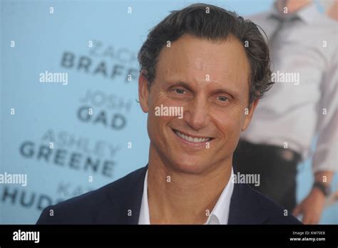 Tony Goldwyns Net Worth: Unpacking the $8 Million Fortune of a