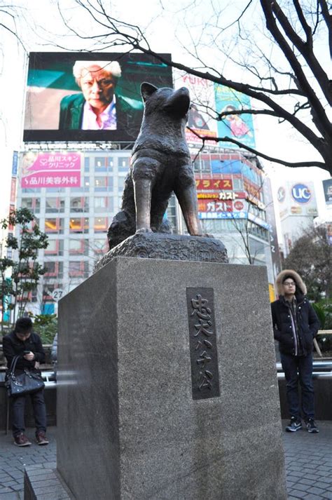 Hachiko Statue In Tokyo Japan Editorial Photography Image Of Japanese