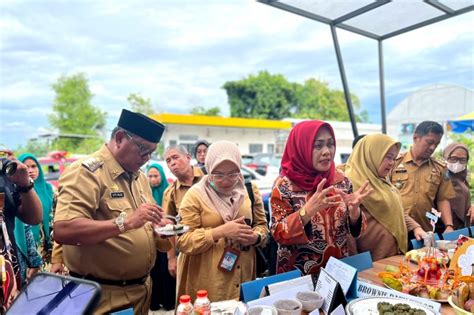 Bkkbn Sulsel Gencarkan Sosialisasi Program Dashat Cegah Stunting