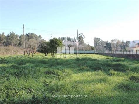 Terrenos Em Barroselas E Carvoeiro Viana Do Castelo Idealista