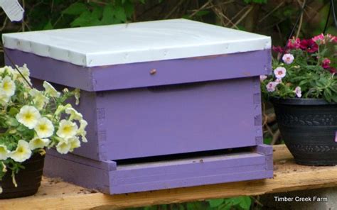 How to Start Beekeeping in Your Backyard - Backyard Beekeeping