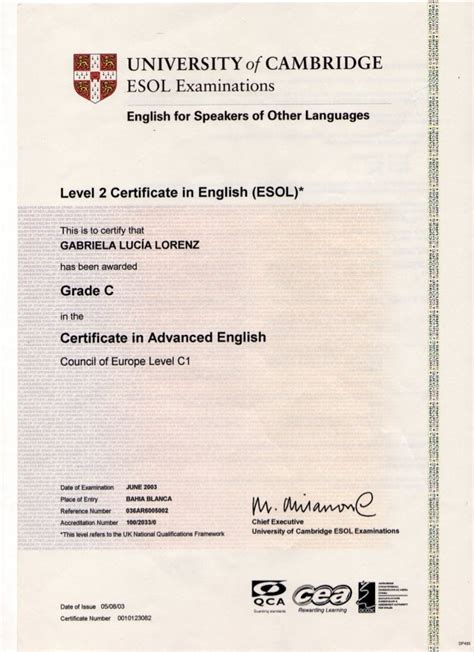 Cambridge Advanced International Certificate Of Education Prntbl