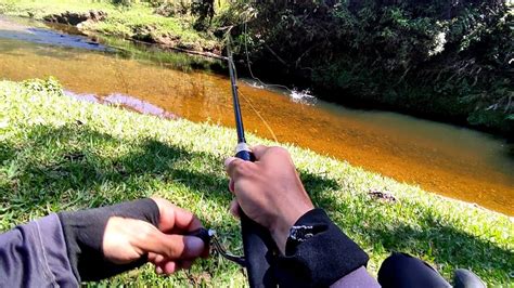 Los bonitos Ataques De la SABALETA PESCA DE SABALETA CON SEÑUELO