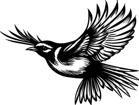 Bird, Black and White Vector illustration 41007562 Vector Art at Vecteezy