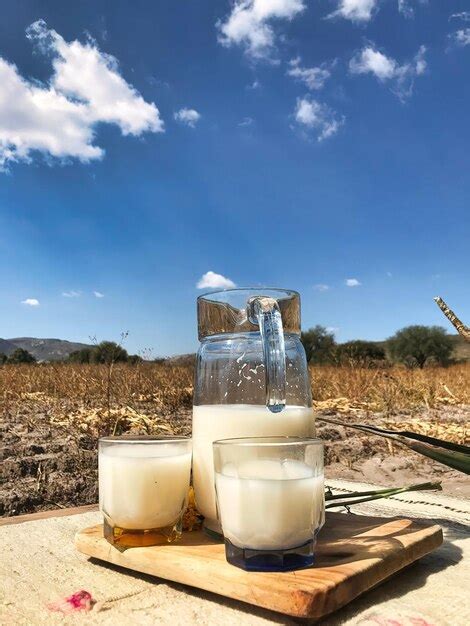 Premium Photo Sip The Essence Of Mexico With Pulque A Divine Maguey Drink