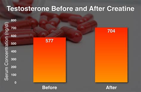 Creatine Supplements Myths And Misconceptions Dispelled