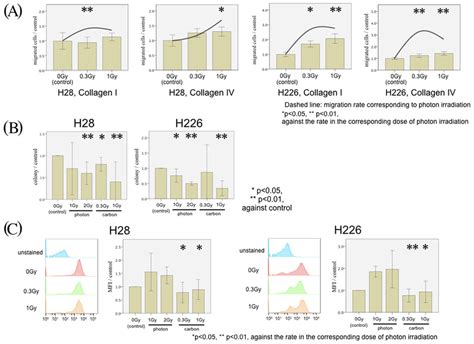 Mpm Cell Migration Following Carbon Irradiation A H28 Cell Migration Download Scientific