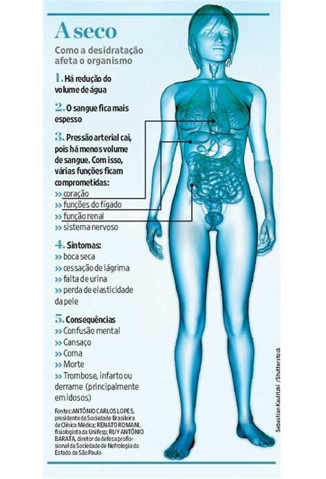 FAQBIO Apoio Ao Estudo De Biologia Quanto Tempo Uma Pessoa Vive Sem