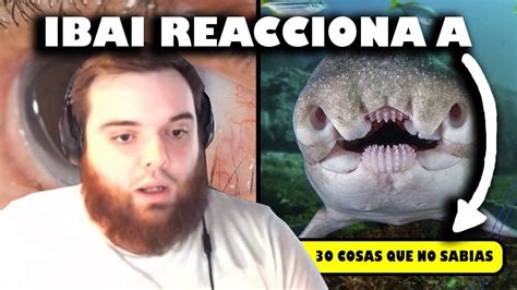 Ibai Reacciona A ¨30 Cosas Que No SabÍas Hace 5 Minutos¨ Youtube