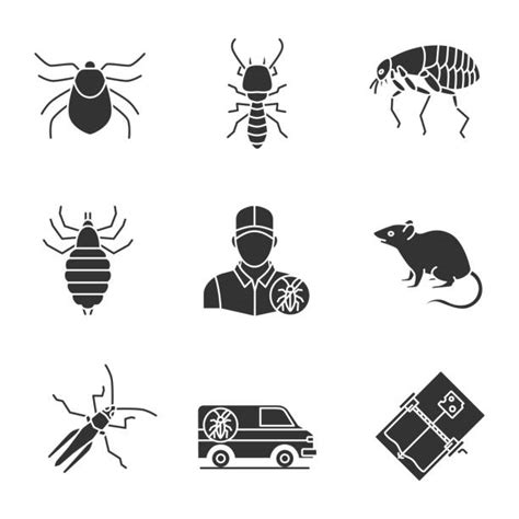 Lice Icon Illustrations Royalty Free Vector Graphics And Clip Art Istock