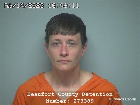 Ashley Sue Mathe 02 14 2023 Beaufort County Mugshots Zone