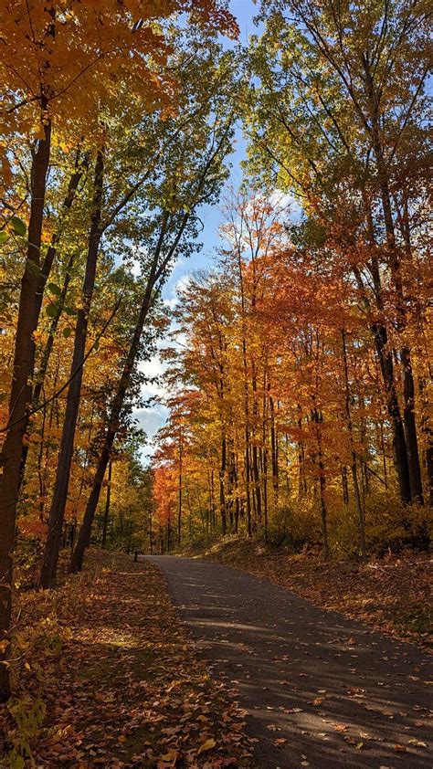 Maybury State Park Michigan Sachinkerkar Flickr