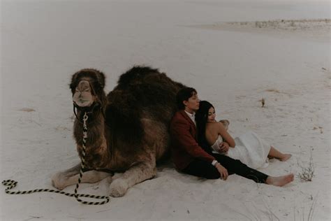 The Ultimate Guide To Your White Sands Elopement M Large Photography