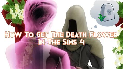 How To Get The Death Flower In The Sims 4 - Pillar Of Gaming