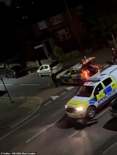 Fury After Police Ram Terrified Runaway Cow With Their Squad Car Down London Street With Cops