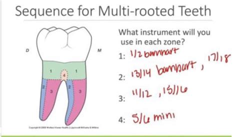 Dh 300 Study Guide Flashcards Quizlet