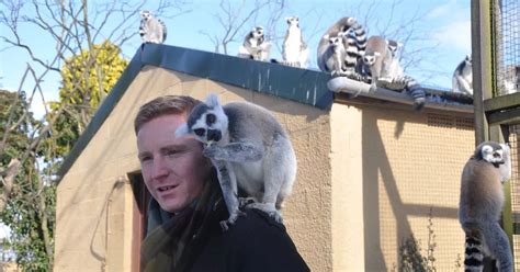 Flamingo Land owner on life inside the park - and how tragedy left him