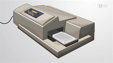 An In Vitro Assay for Evaluating Natural Killer Cell Cytotoxicity ...