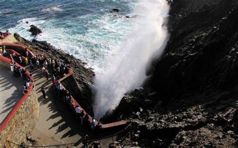 Baja California Tiene El Segundo G Iser Marino M S Grande Del Mundo La