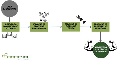 Ácido abscísico como afeta a produtividade das lavouras e o papel dos