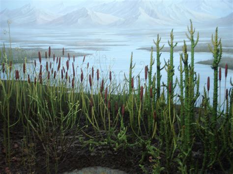 Silurian Flora Silurian Period Plants Landscape