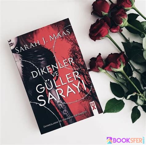 Dikenler ve Güller Sarayı Sarah J Maas PDF İNDİR e Kitaplar ve