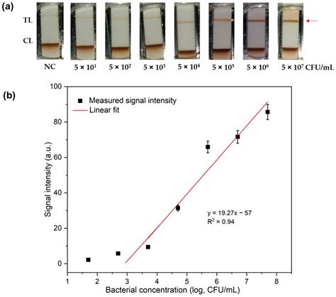 Chemosensors Free Full Text Automated Multistep Lateral Flow