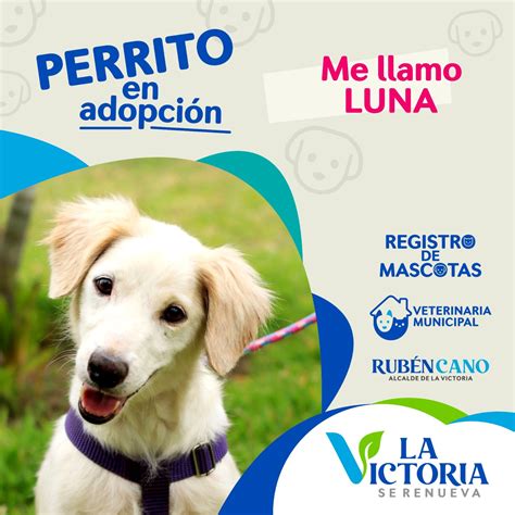 Adopción Responsable Campañas Municipalidad Distrital de La