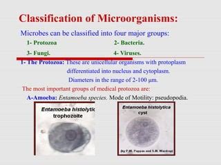 Classification Of Microorganisms Lecture Ppt