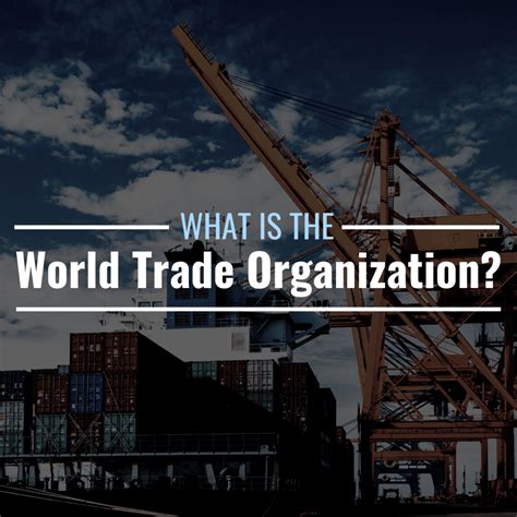 What Is the World Trade Organization? Definition