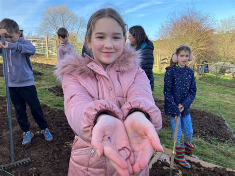 Cornwall School Takes No Dig Approach To Growing Veg Bbc News