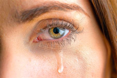 Exposure To Womens Tears Decreases Aggression In Men Earth