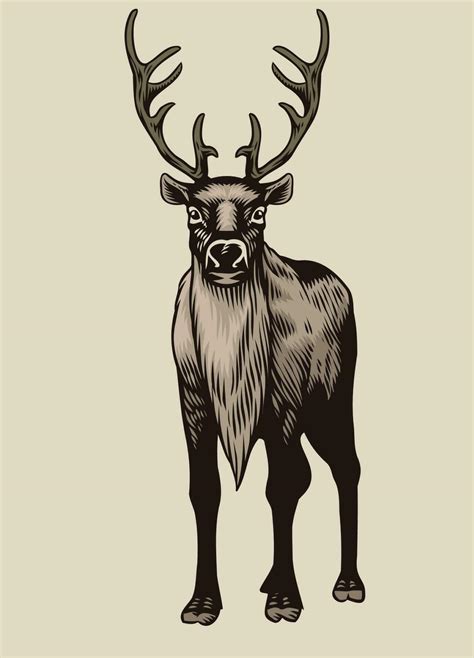 Drawing of Reindeer standing 23172649 Vector Art at Vecteezy