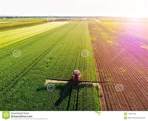 Fazendeiro Que Pulveriza O Campo De Trigo Verde Foto De Stock Imagem