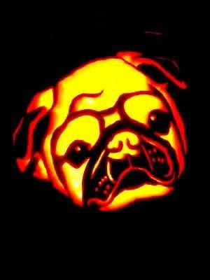 17 Best images about Pug Carving Stencils on Pinterest | Pumpkin ...