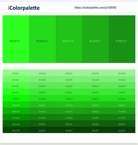 Malachite Color Palette Atelier Yuwaciaojp